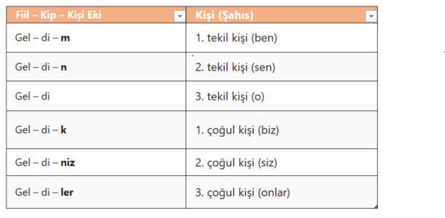 1. Çoğul Şahıs Eki Bulma Yöntemleri [Uzman İpuçları] - Kapak Görseli